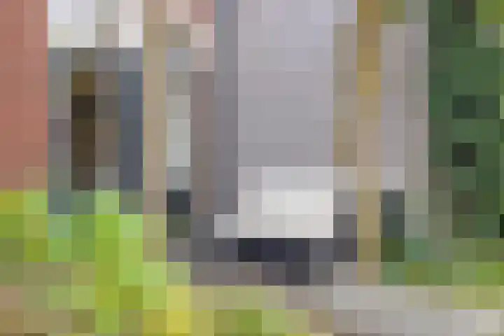 Oude Molenweg 222 Nijmegen thumbnail 21