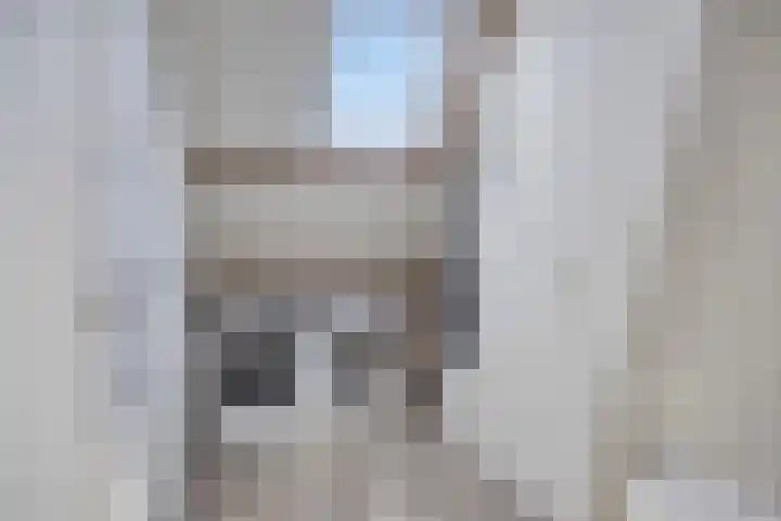 Oude Molenweg 222 Nijmegen thumbnail 31