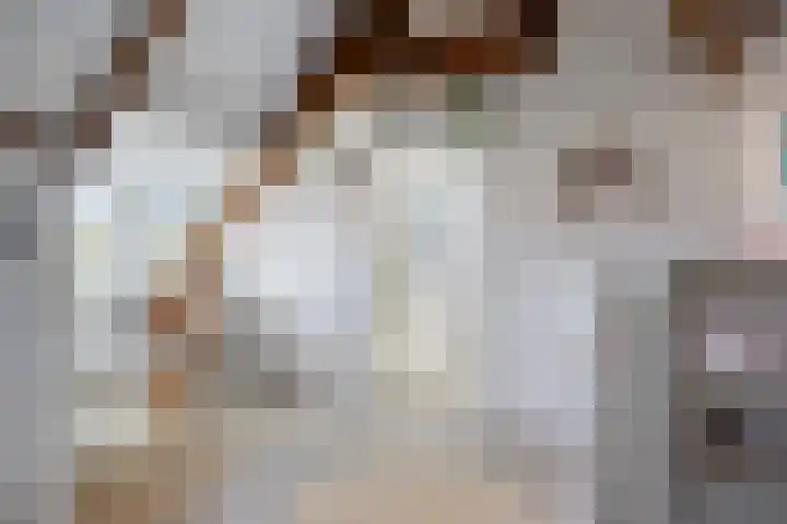 Oude Molenweg 222 Nijmegen thumbnail 34