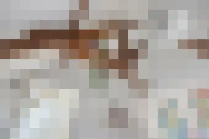 Oude Molenweg 222 Nijmegen thumbnail 35