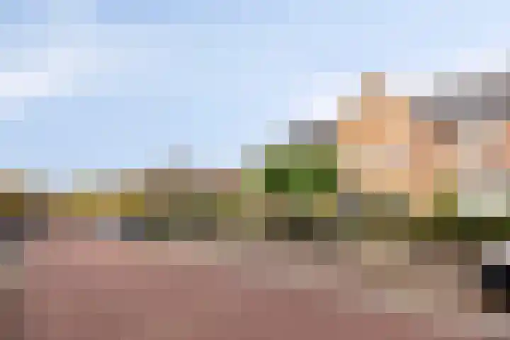Oude Molenweg 222 Nijmegen thumbnail 4