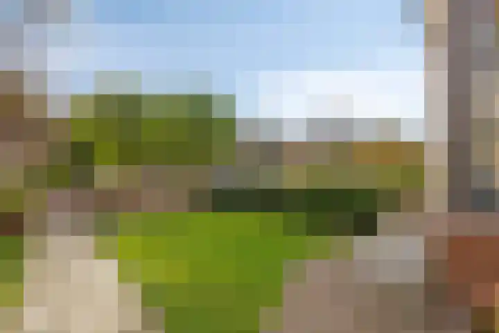Oude Molenweg 222 Nijmegen thumbnail 40