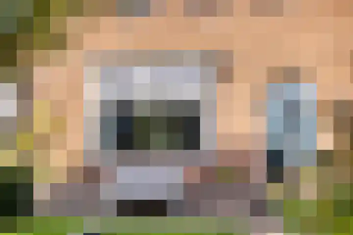 Oude Molenweg 222 Nijmegen thumbnail 5