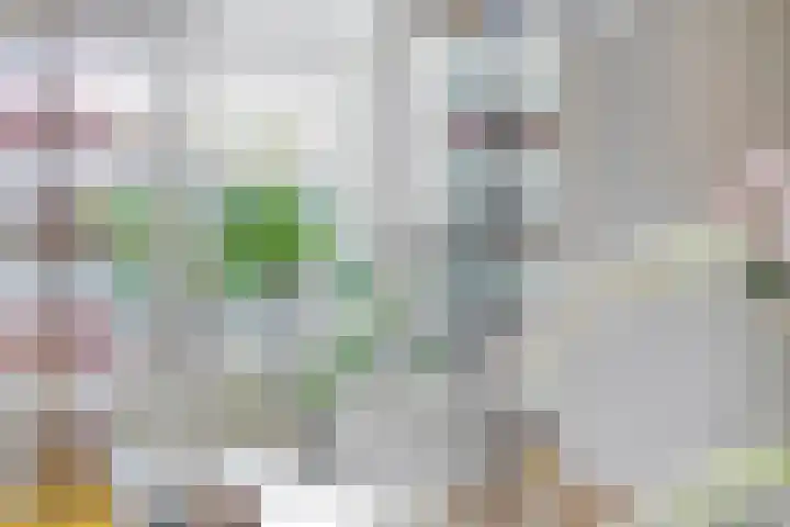 Oude Molenweg 222 Nijmegen thumbnail 8