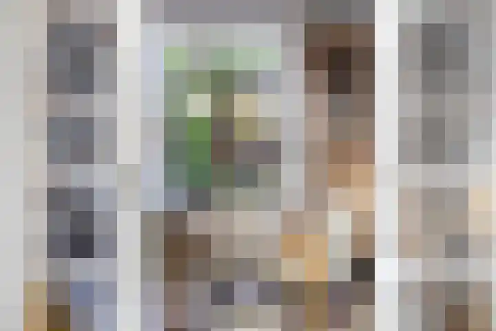 Oude Molenweg 222 Nijmegen thumbnail 9