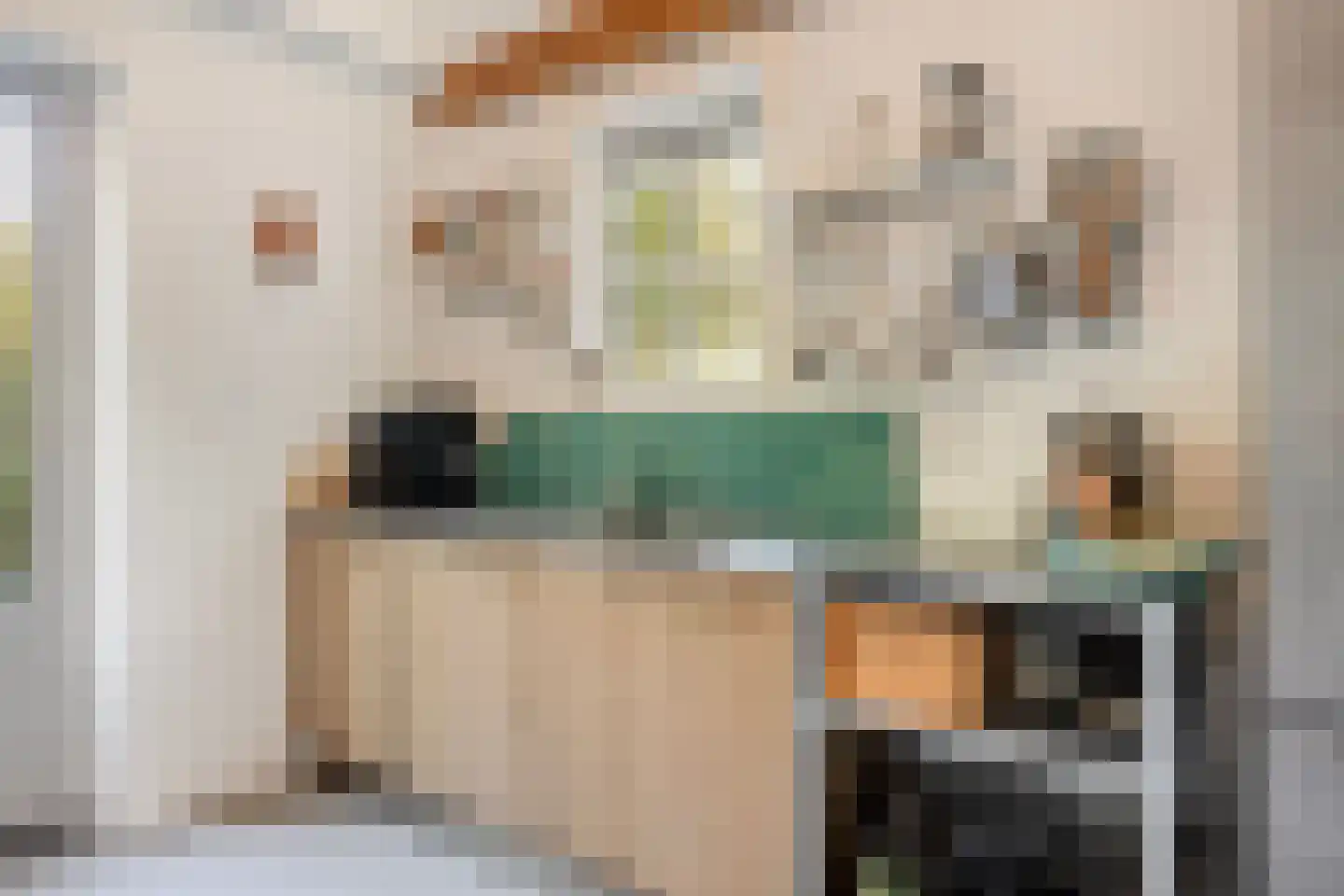 Oude Molenweg 226 Nijmegen thumbnail 18