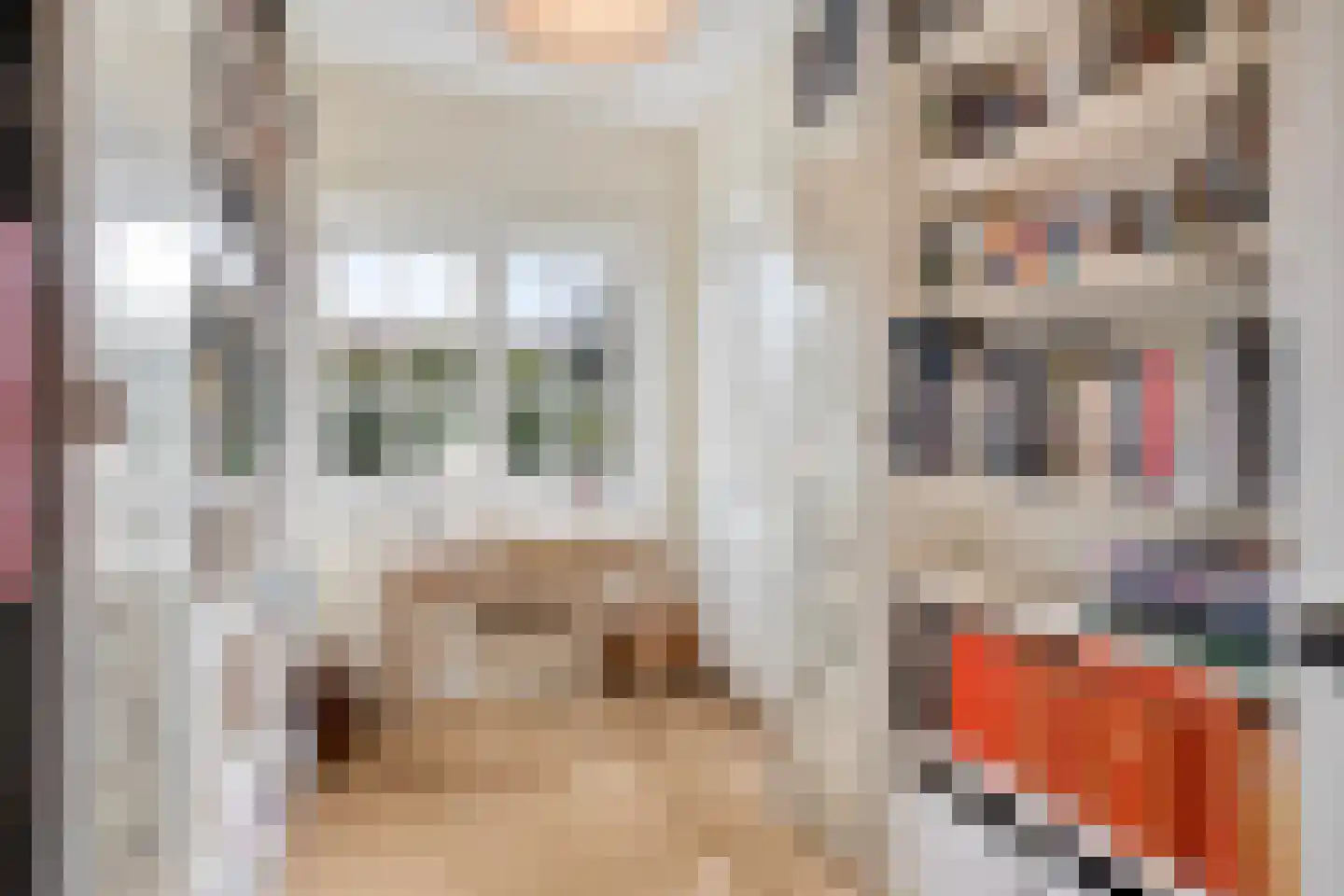 Oude Molenweg 226 Nijmegen thumbnail 26