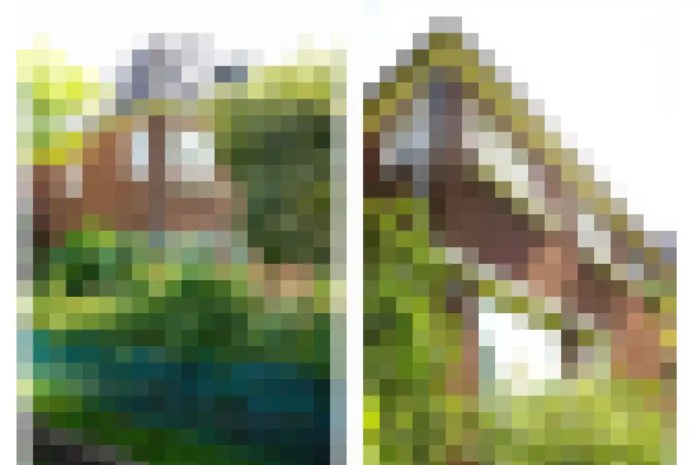 Oude Molenweg 226 Nijmegen thumbnail 34