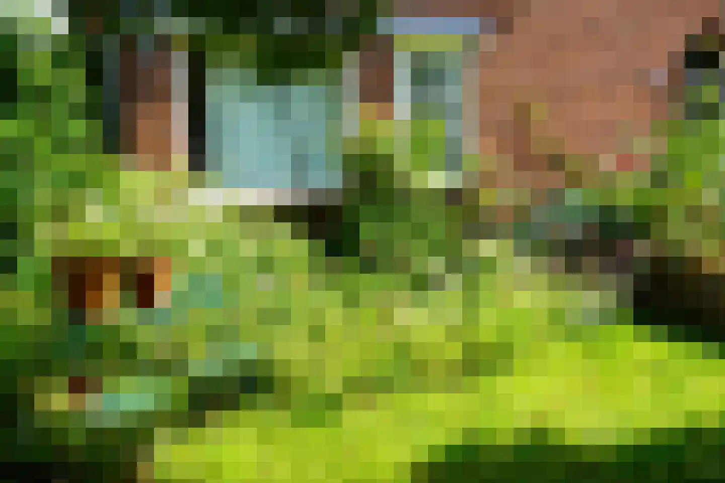 Oude Molenweg 226 Nijmegen thumbnail 36
