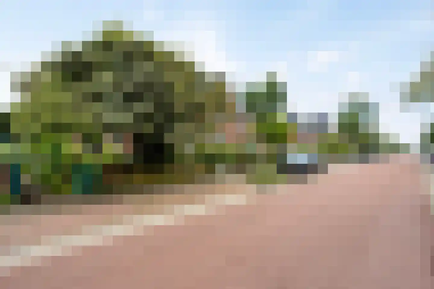 Oude Molenweg 226 Nijmegen thumbnail 41