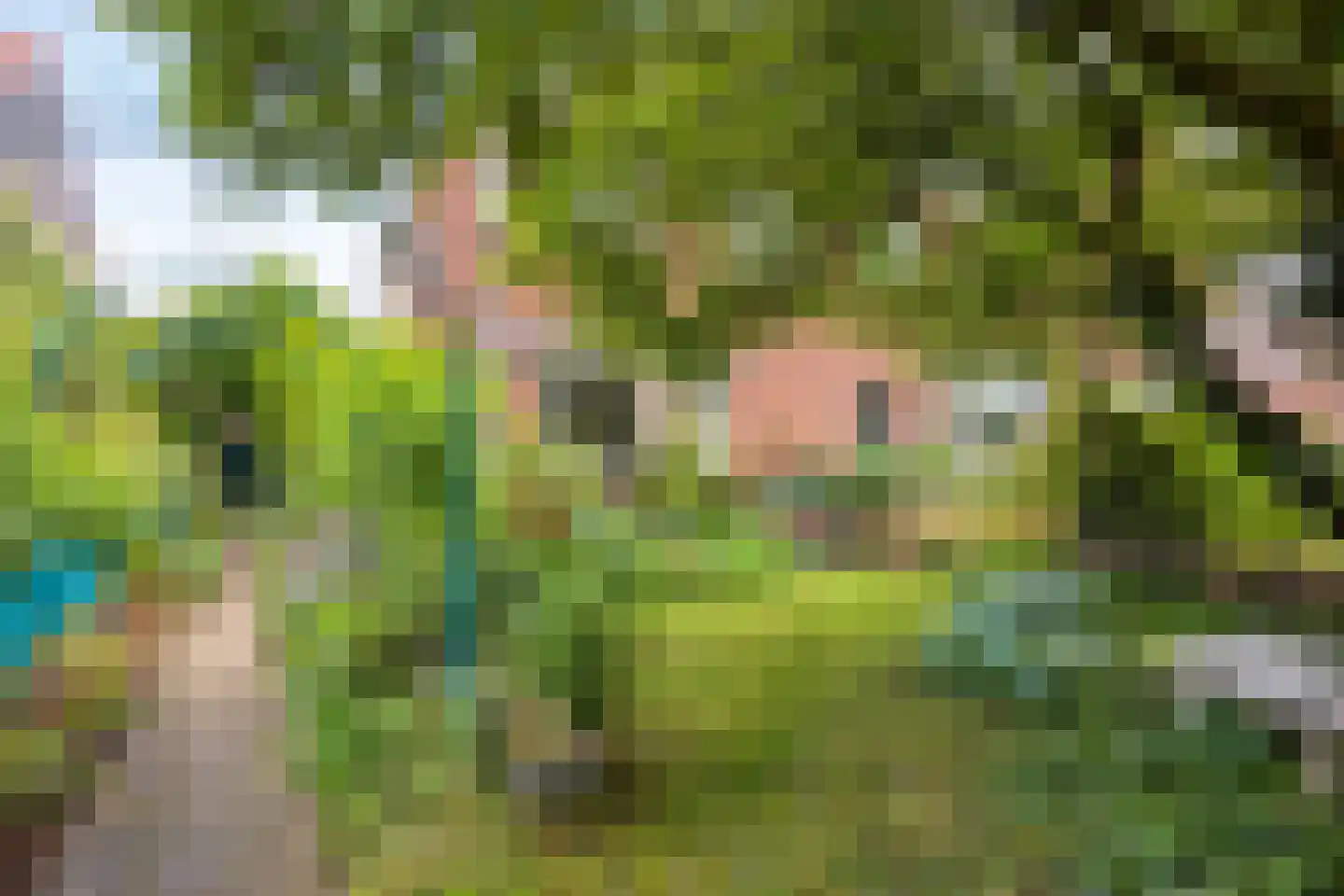 Oude Molenweg 226 Nijmegen thumbnail 6