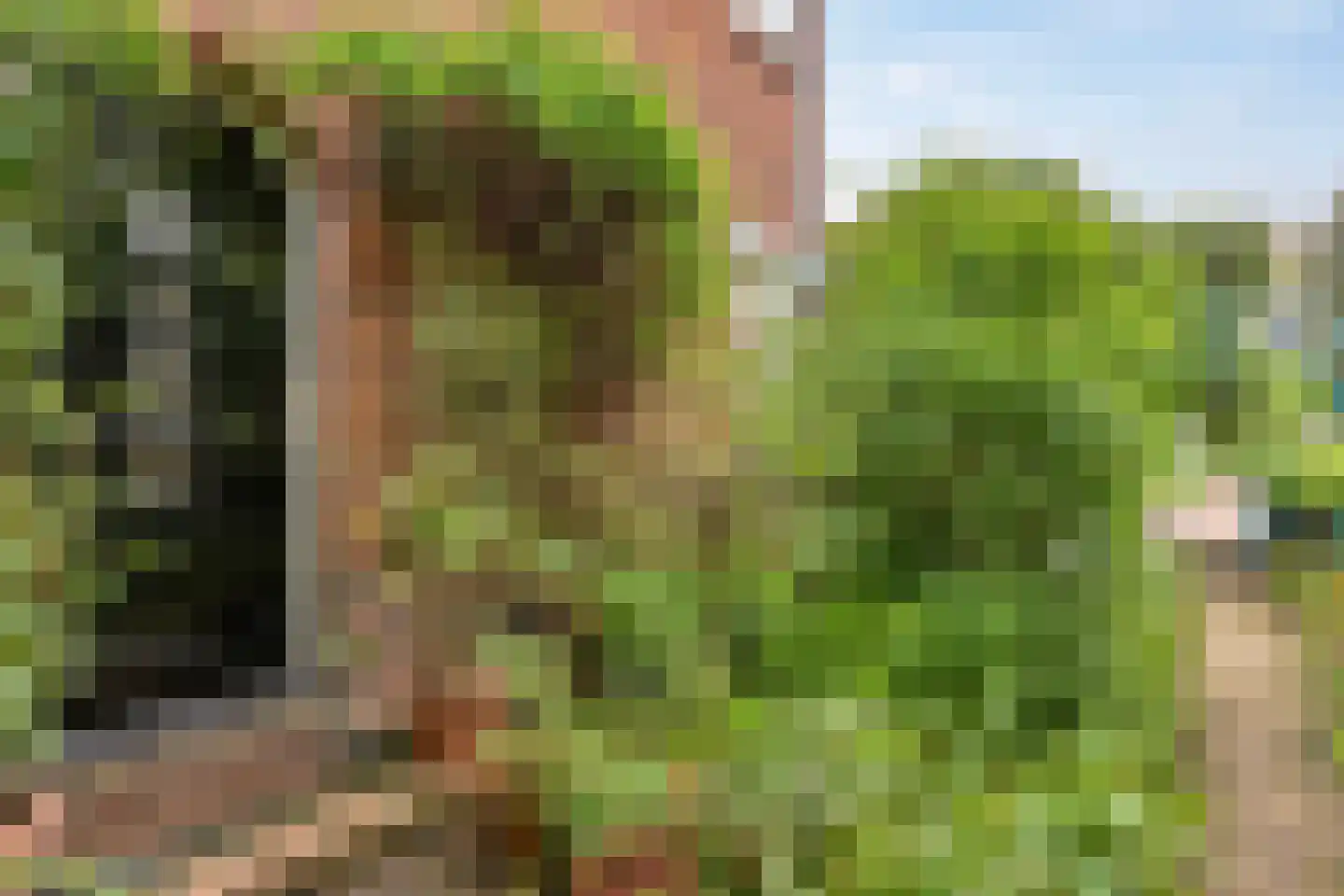 Oude Molenweg 226 Nijmegen thumbnail 7