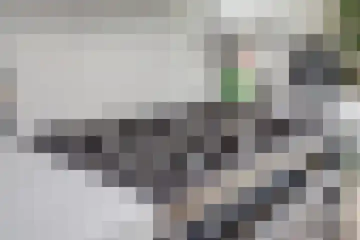 Oude Molenweg 232 Nijmegen thumbnail 14