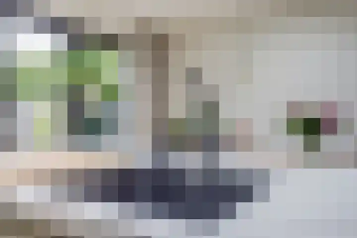 Oude Molenweg 232 Nijmegen thumbnail 15