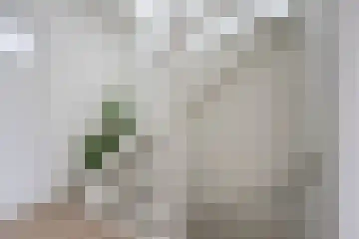 Oude Molenweg 232 Nijmegen thumbnail 19
