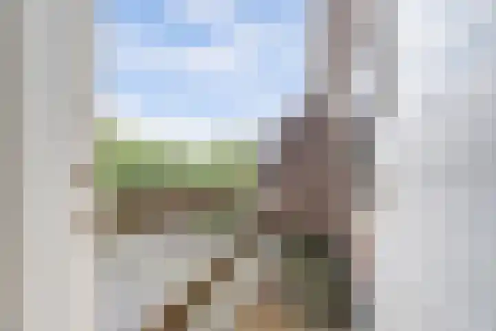 Oude Molenweg 232 Nijmegen thumbnail 28