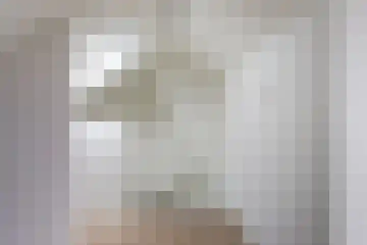Oude Molenweg 232 Nijmegen thumbnail 32