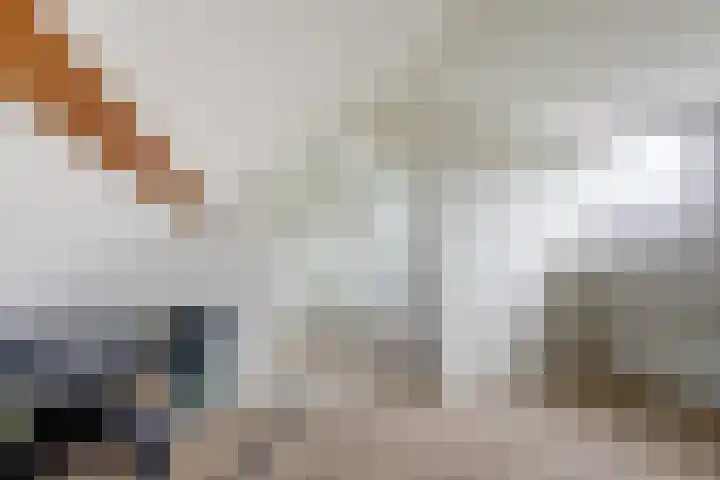 Oude Molenweg 232 Nijmegen thumbnail 34
