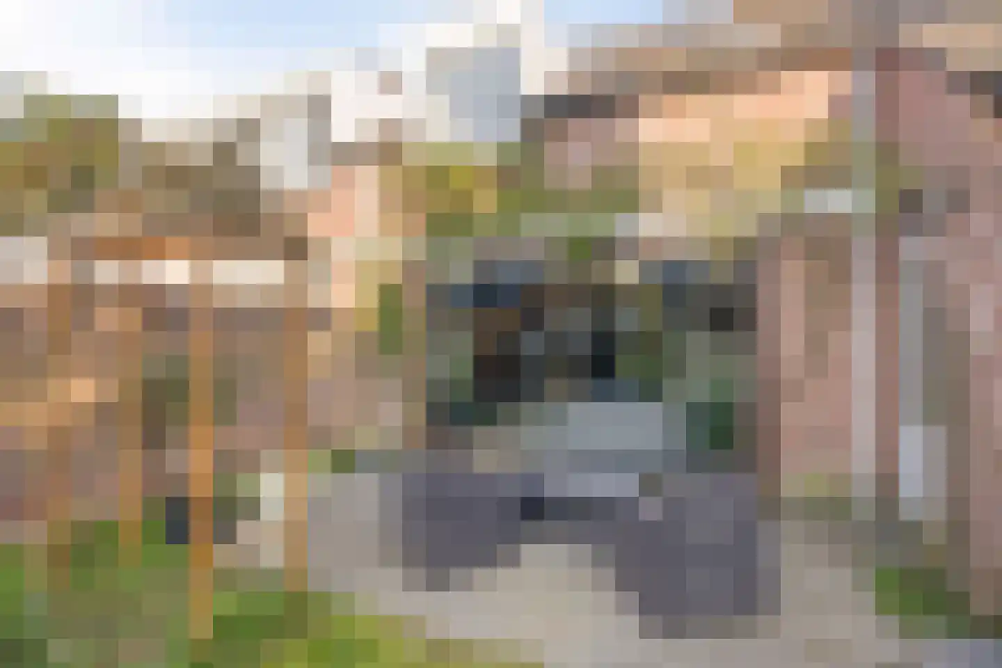 Oude Molenweg 25 C Maastricht thumbnail 34