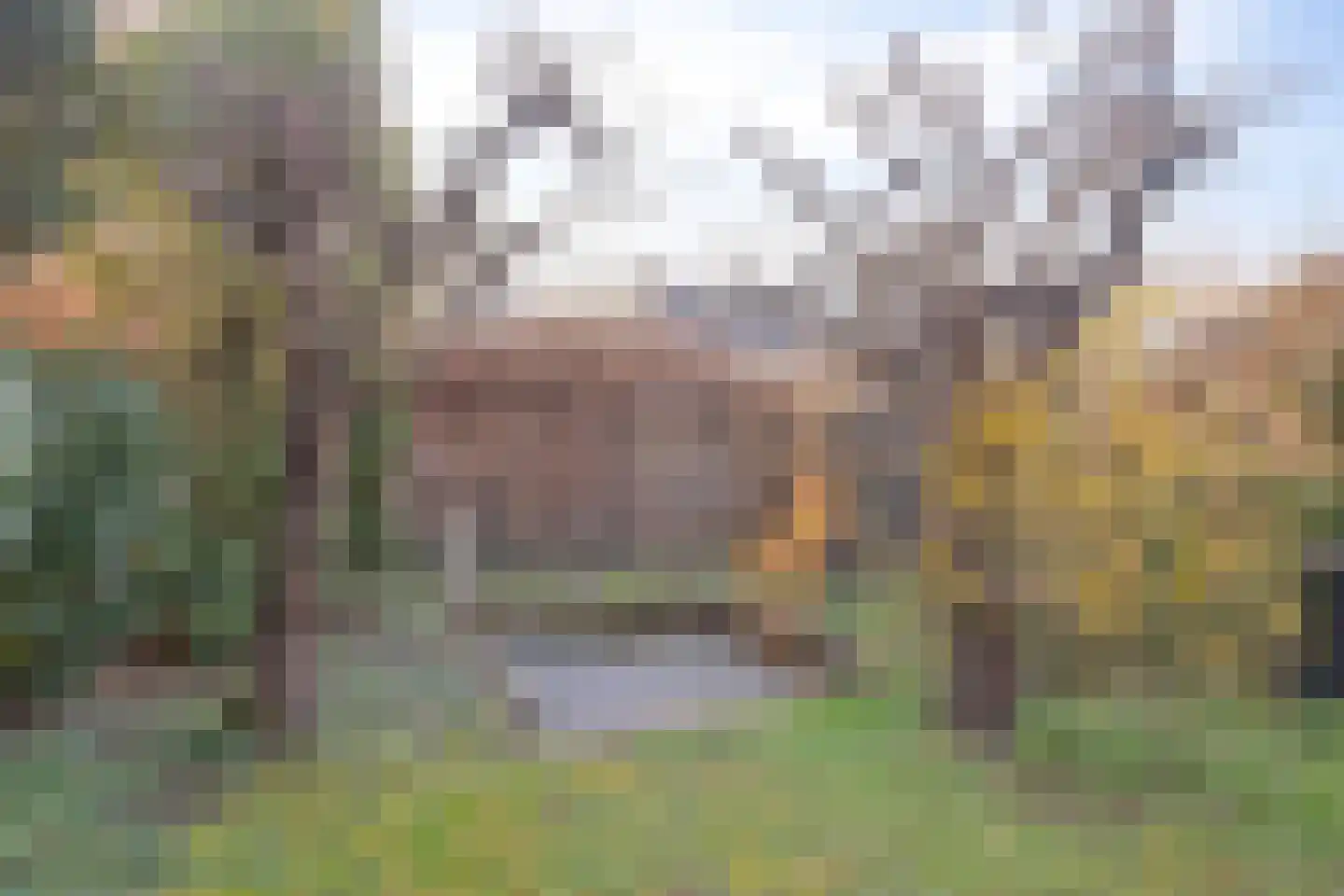 Oude Molenweg 25 C Maastricht thumbnail 35