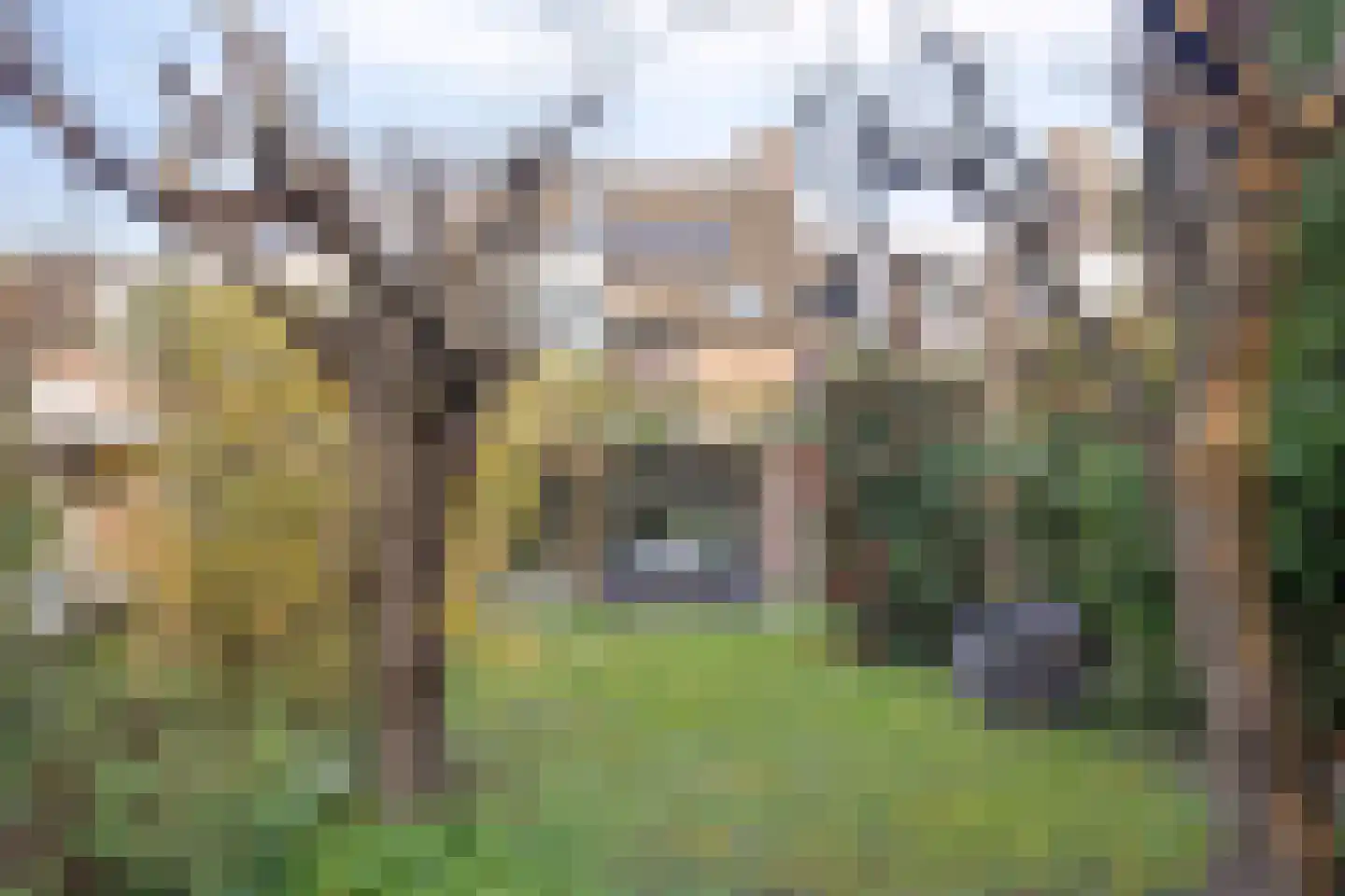 Oude Molenweg 25 C Maastricht thumbnail 38
