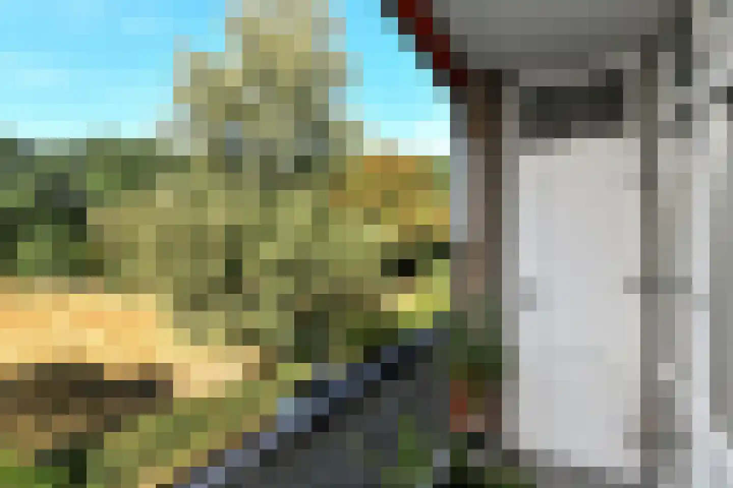 Oude Molenweg 257 Nijmegen thumbnail 27