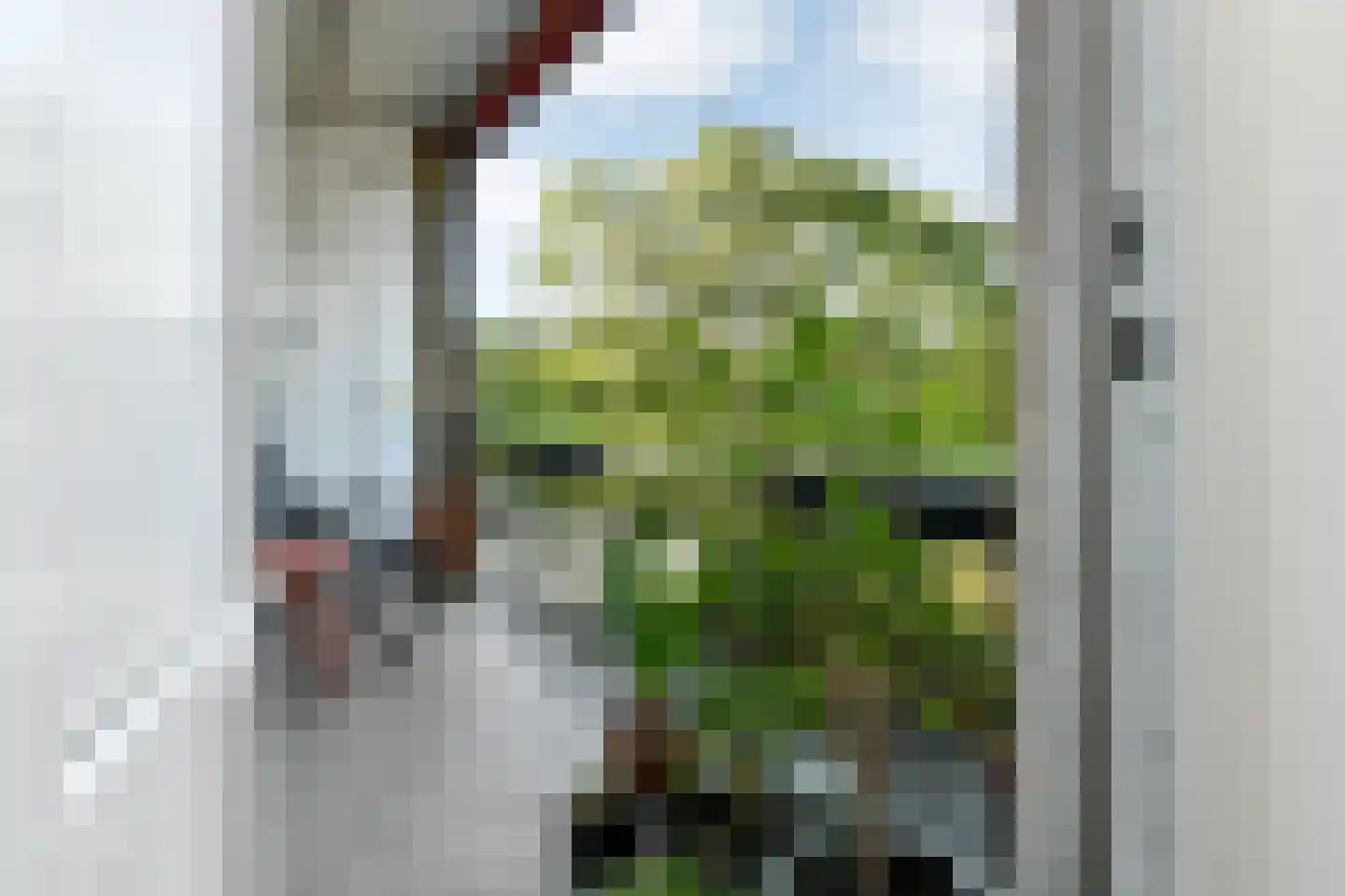 Oude Molenweg 257 Nijmegen thumbnail 29