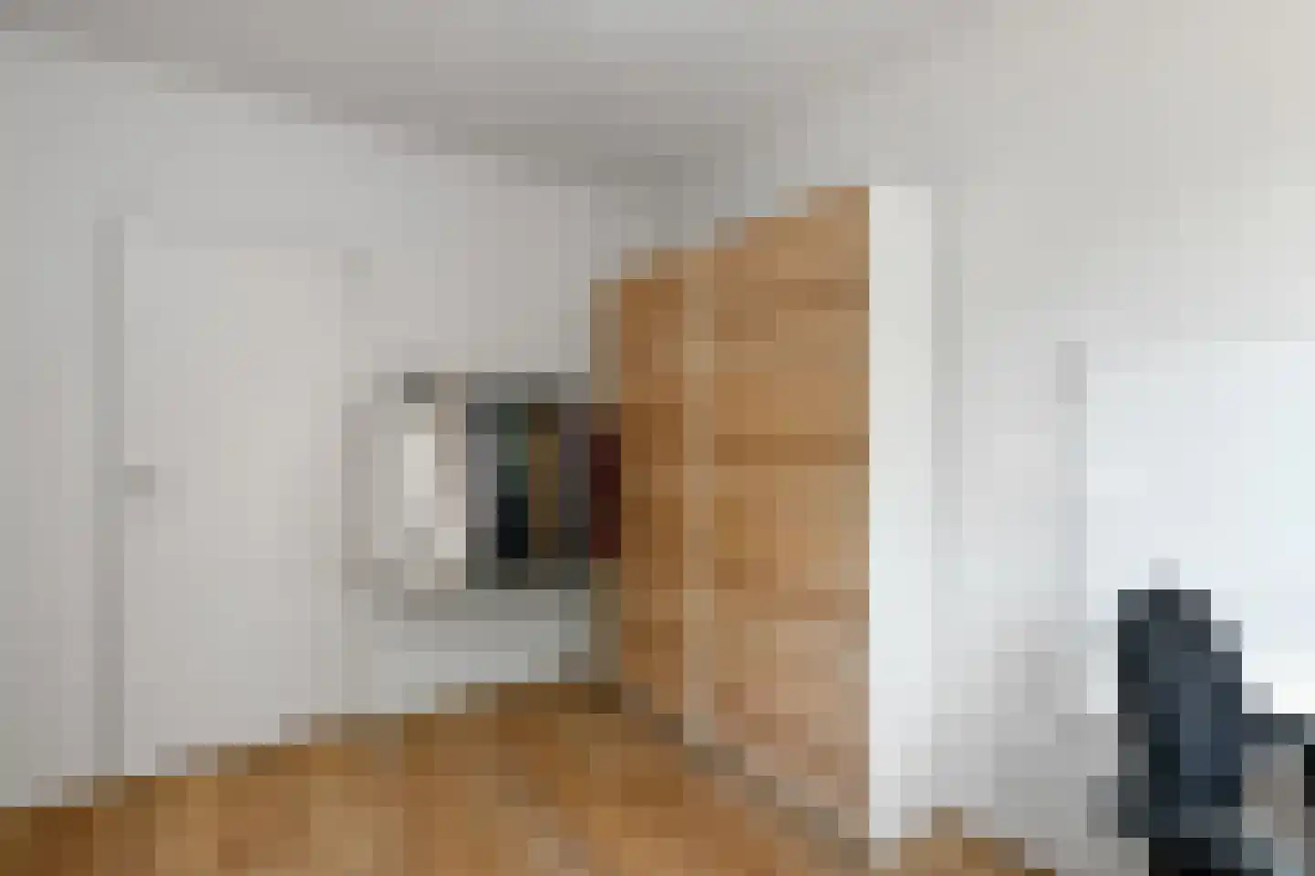 Oude Molenweg 257 Nijmegen thumbnail 36