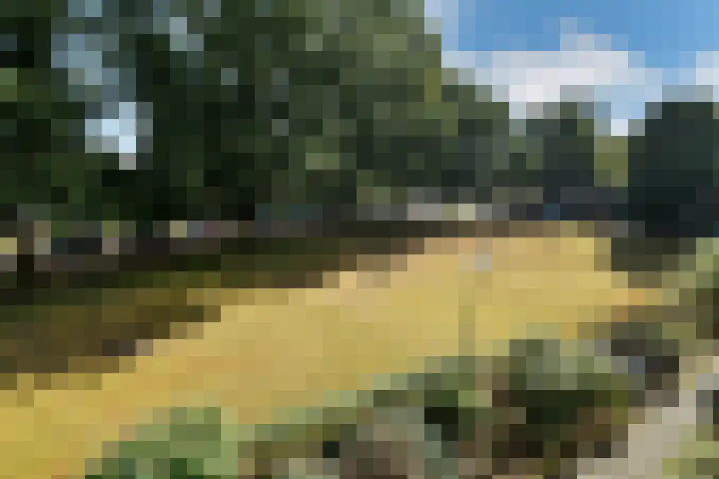 Oude Molenweg 257 Nijmegen thumbnail 38