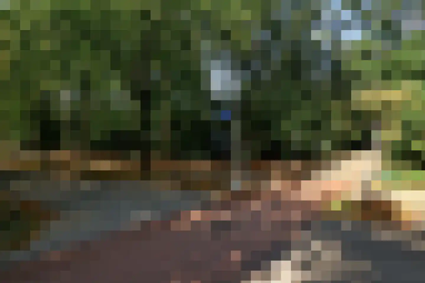 Oude Molenweg 257 Nijmegen thumbnail 39