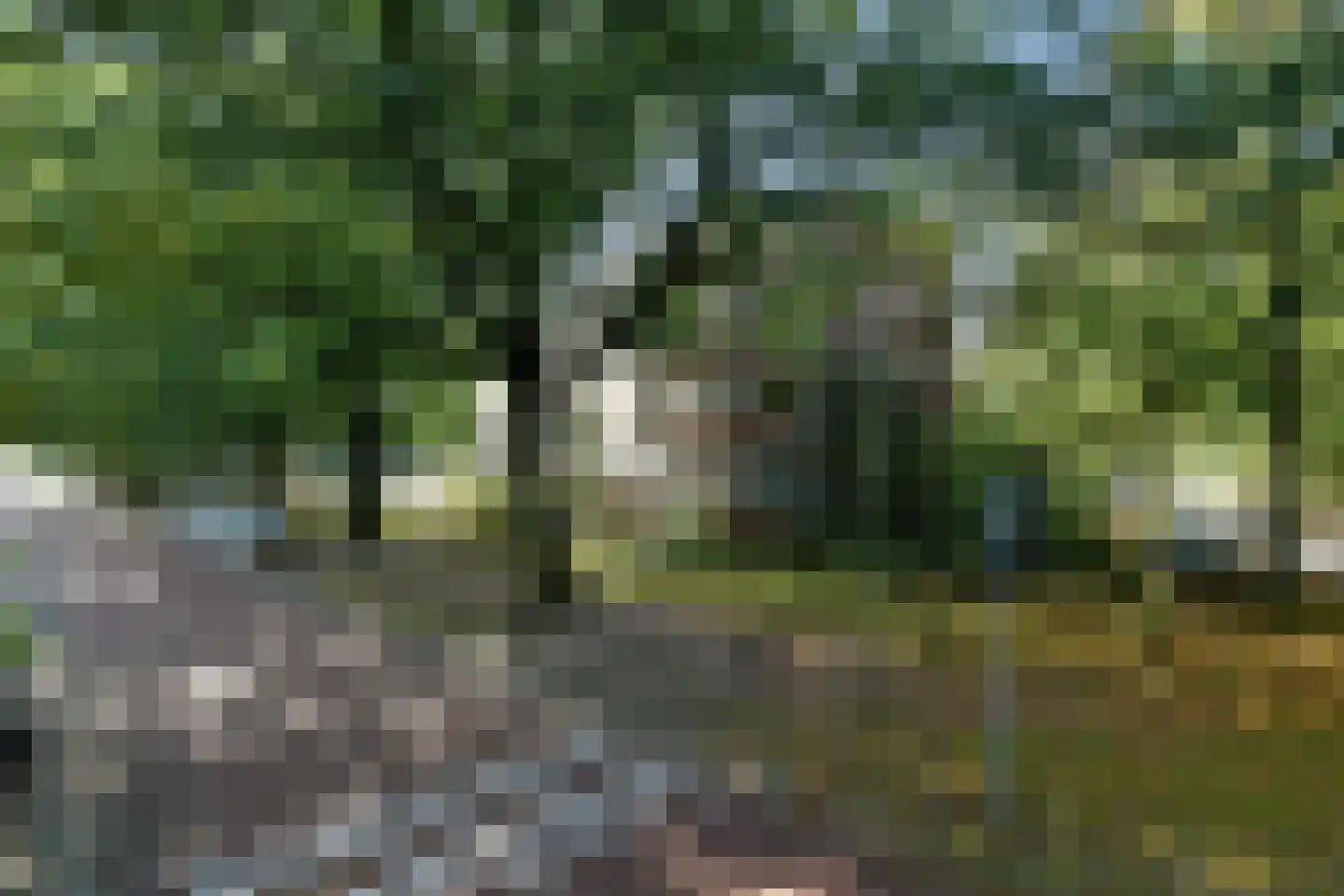 Oude Molenweg 257 Nijmegen thumbnail 40