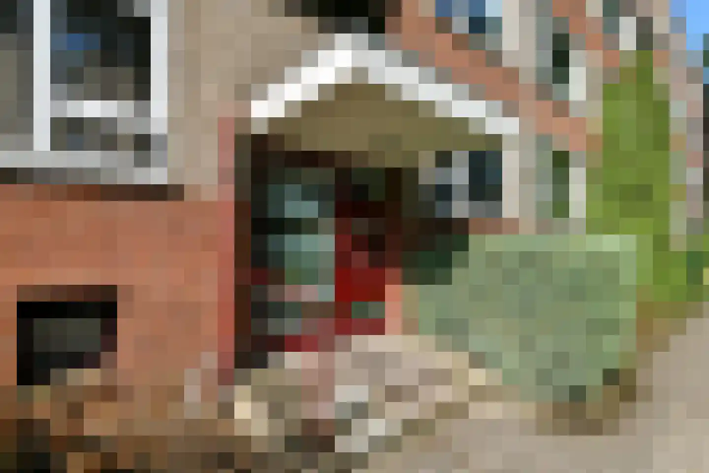 Oude Molenweg 257 Nijmegen thumbnail 6