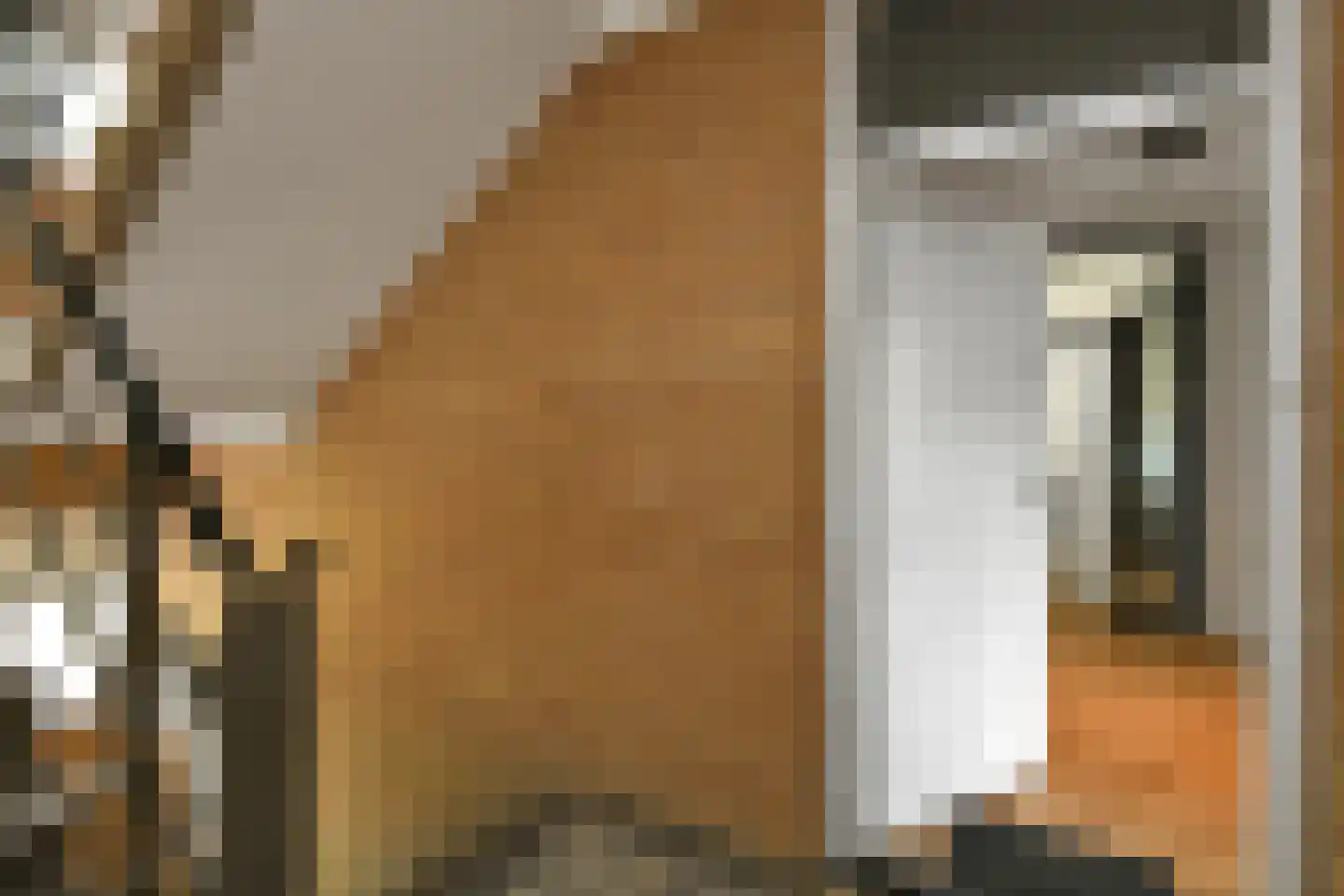 Oude Molenweg 257 Nijmegen thumbnail 7
