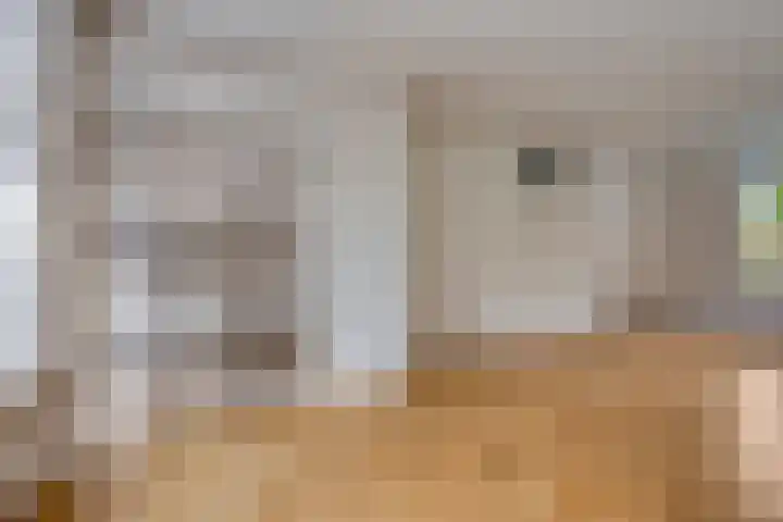 Oude Molenweg 26 Heerlen thumbnail 10