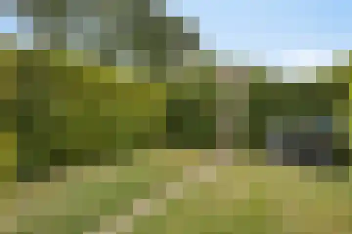 Oude Molenweg 26 Heerlen thumbnail 29