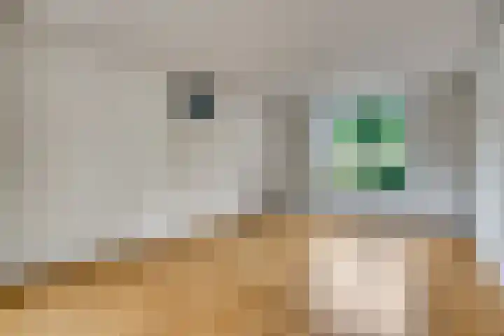 Oude Molenweg 26 Heerlen thumbnail 7