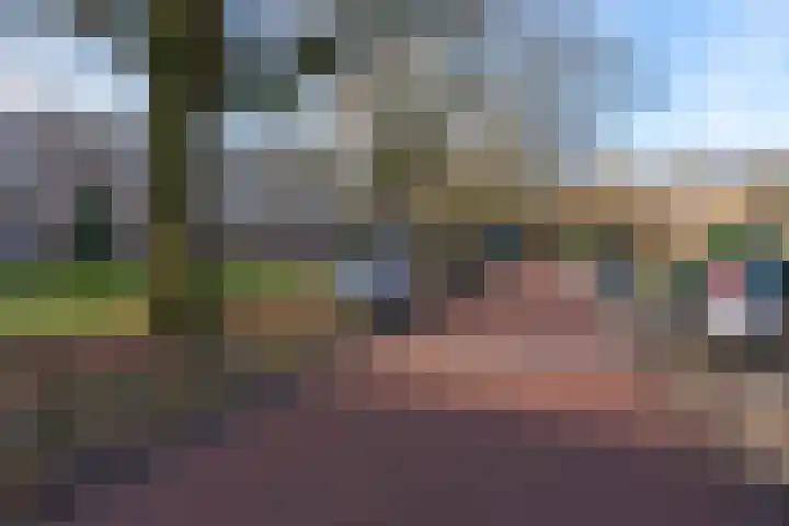 Oude Molenweg 263 Nijmegen thumbnail 29