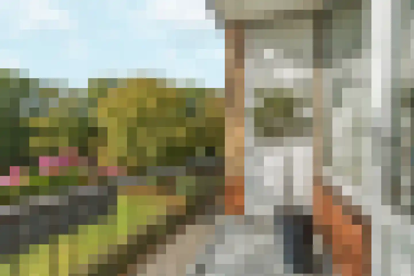 Oude Molenweg 265 Nijmegen thumbnail 12