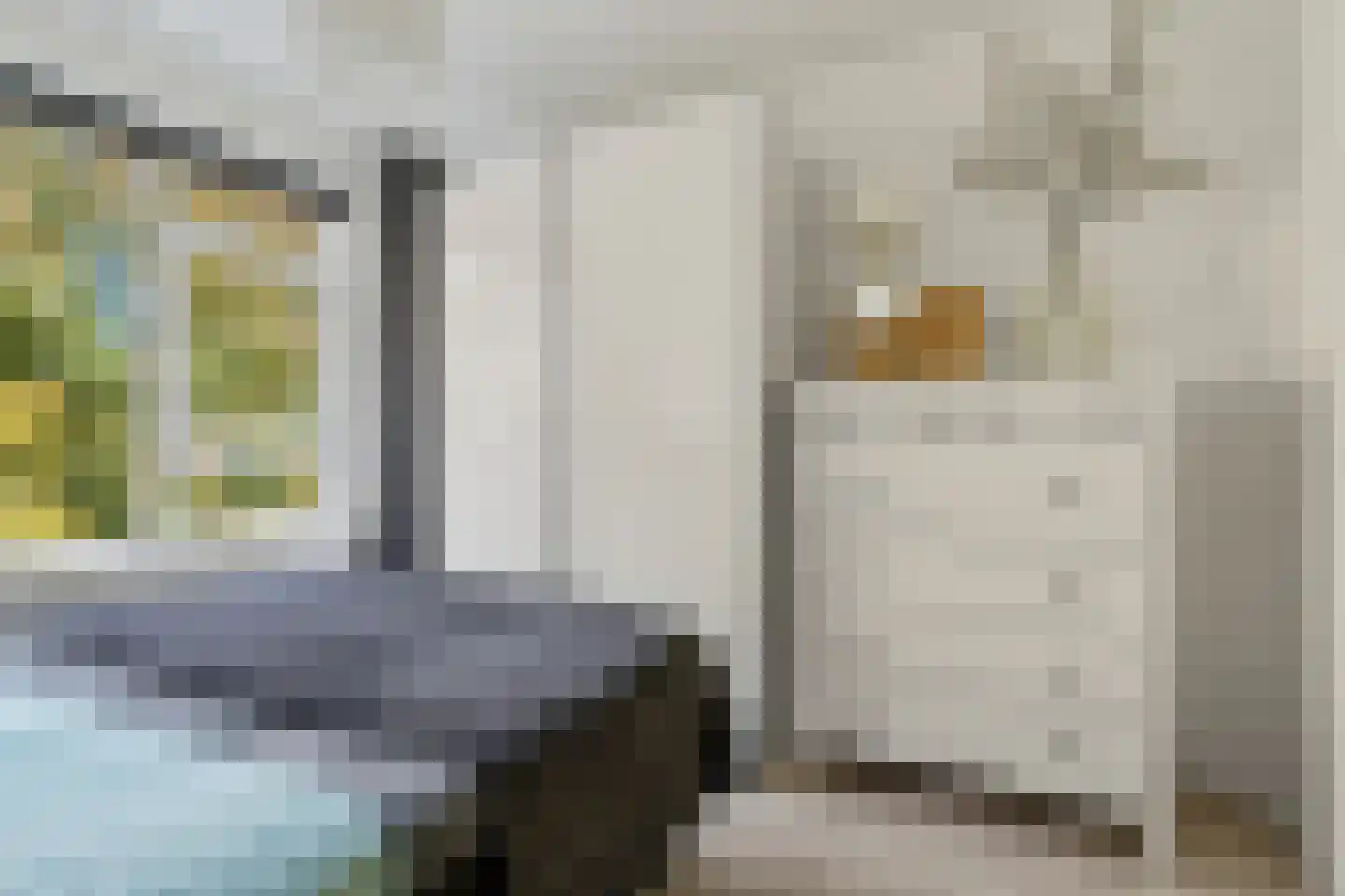 Oude Molenweg 265 Nijmegen thumbnail 21