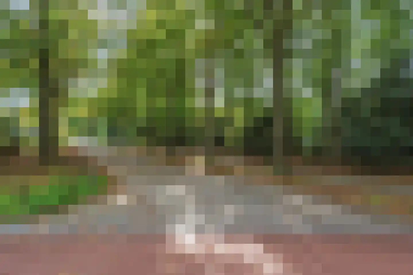 Oude Molenweg 265 Nijmegen thumbnail 31