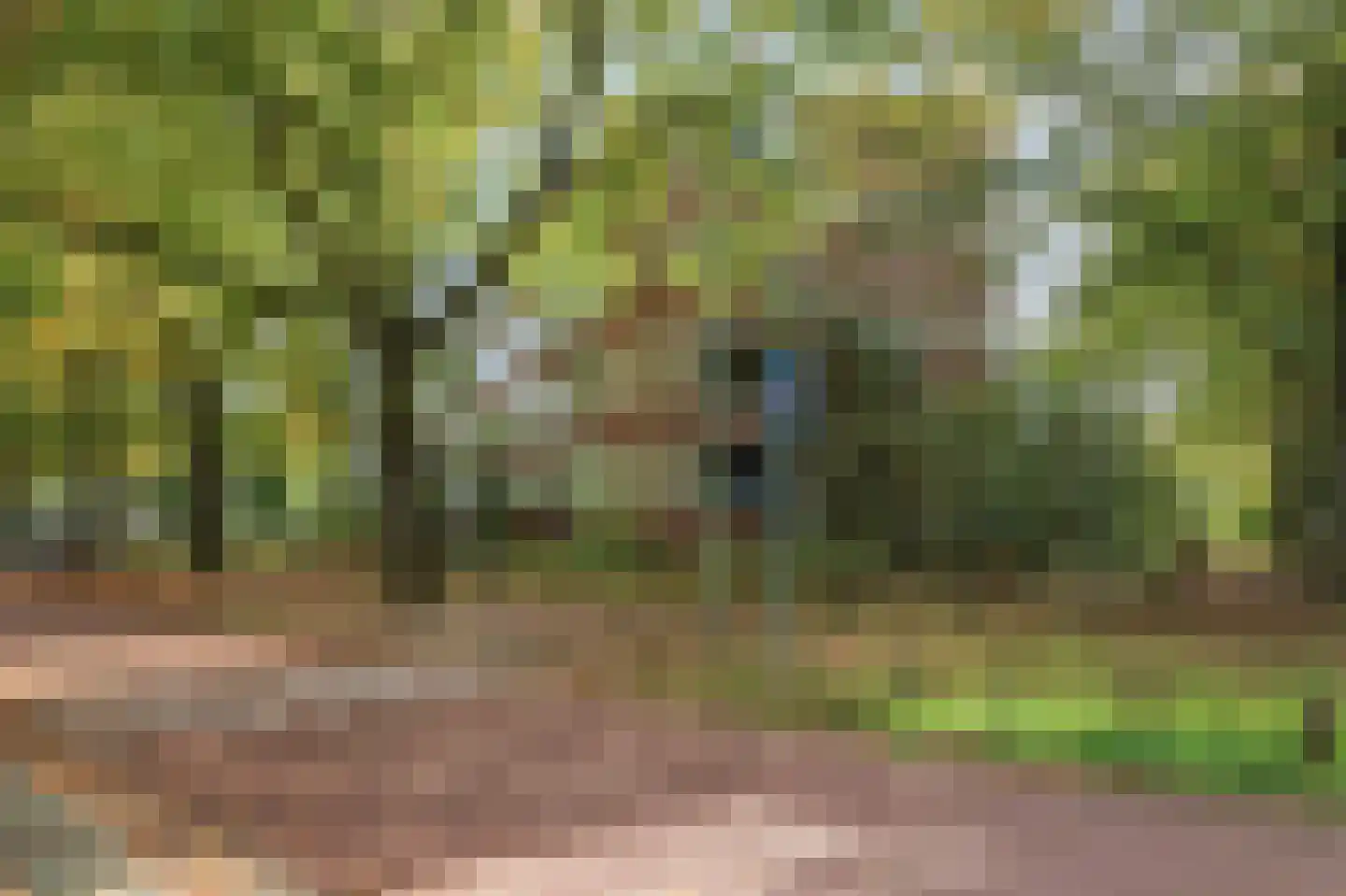 Oude Molenweg 265 Nijmegen thumbnail 33
