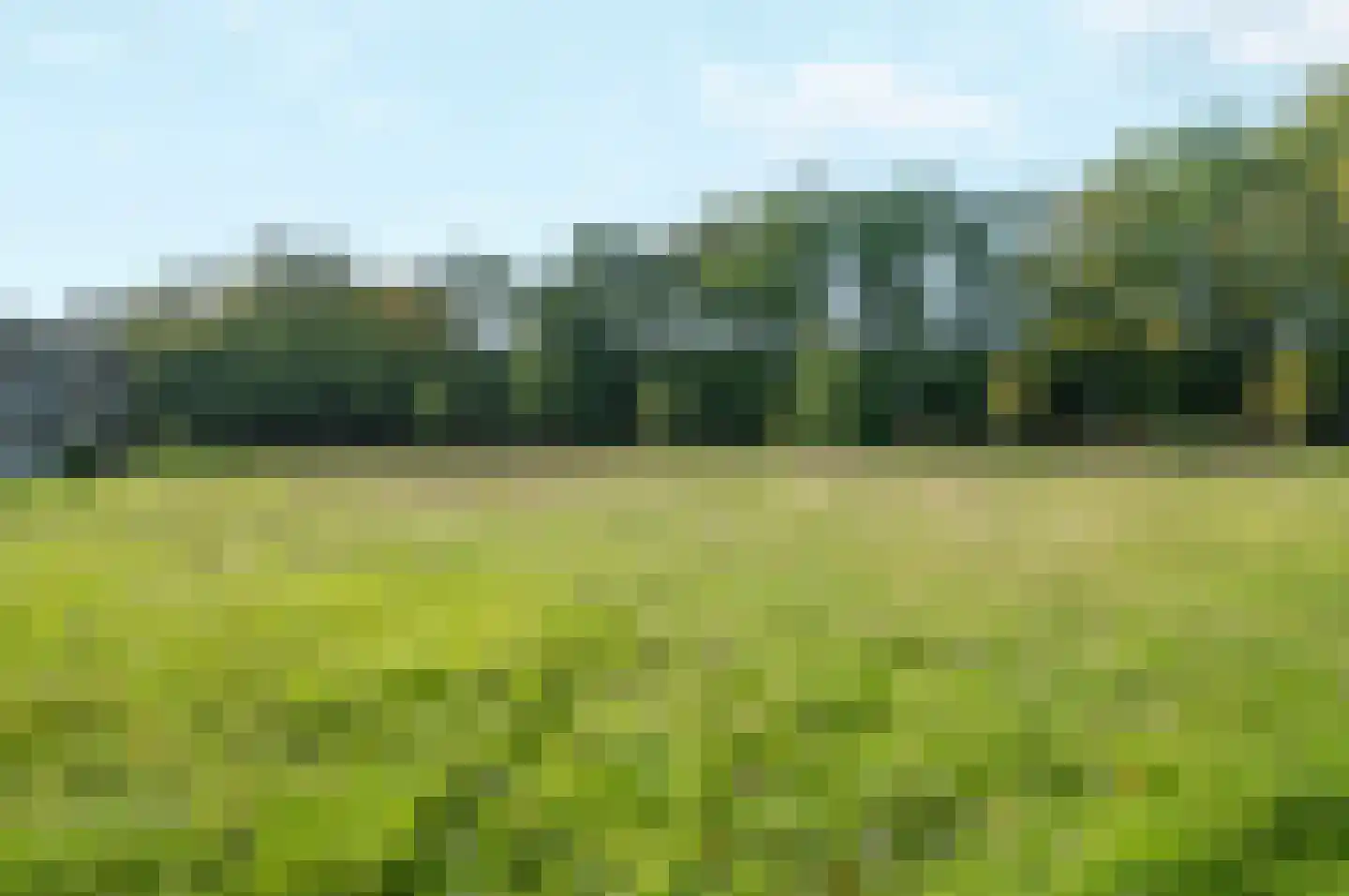 Oude Molenweg 265 Nijmegen thumbnail 34