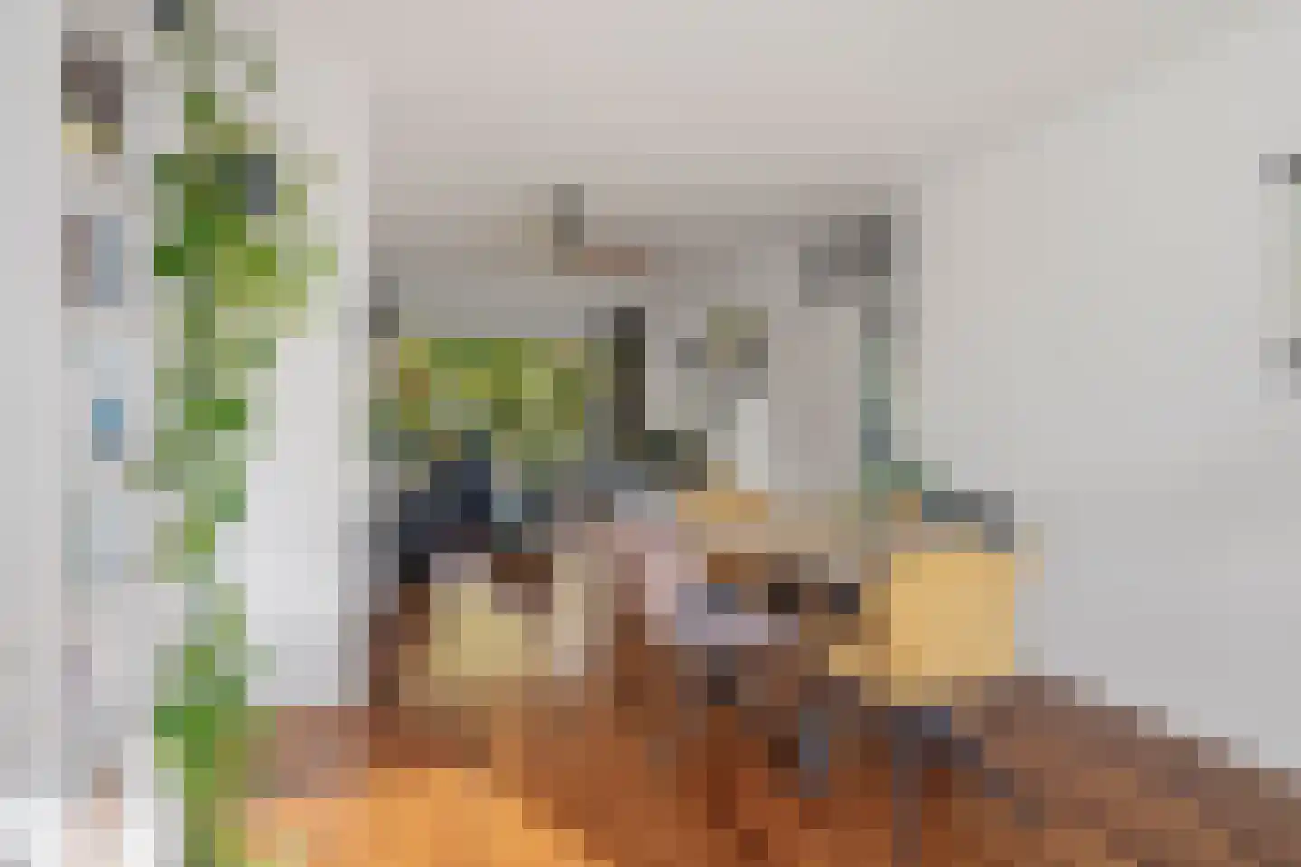 Oude Molenweg 265 Nijmegen thumbnail 6