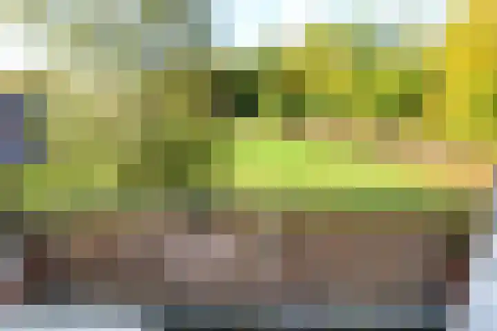 Oude Molenweg 275 Nijmegen thumbnail 8