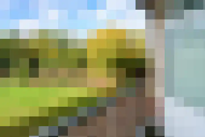 Oude Molenweg 275 Nijmegen thumbnail 9