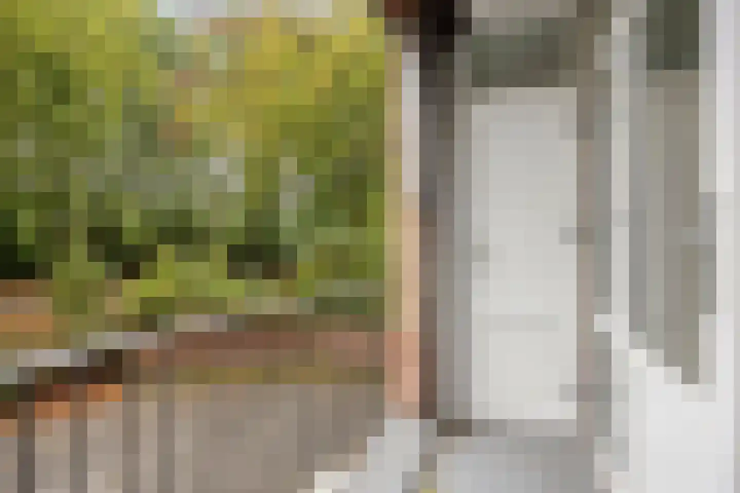 Oude Molenweg 287 Nijmegen thumbnail 15