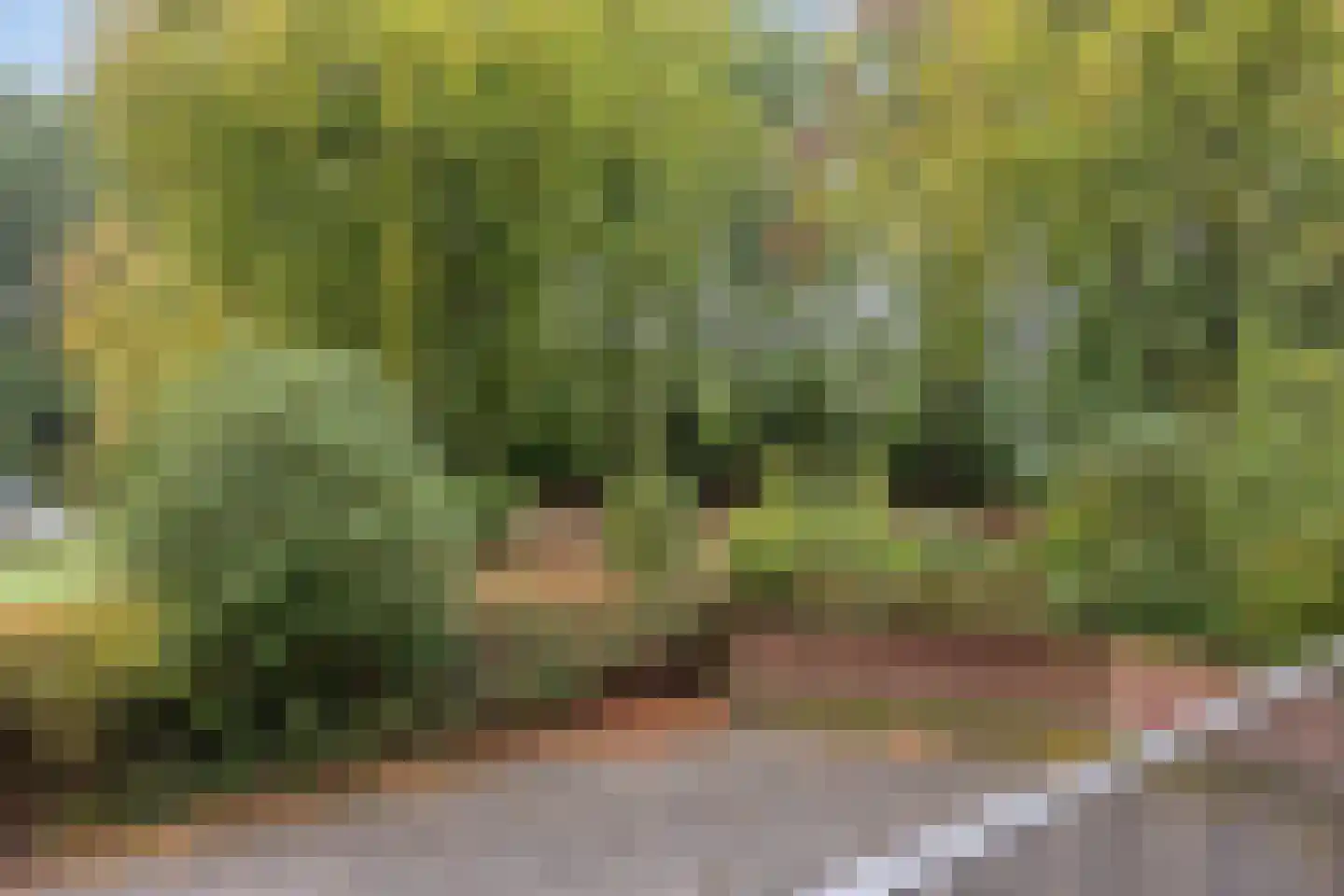 Oude Molenweg 287 Nijmegen thumbnail 16