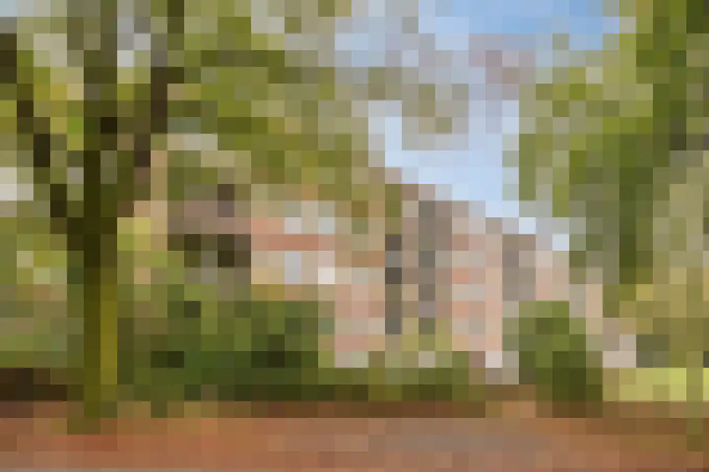Oude Molenweg 287 Nijmegen thumbnail 24