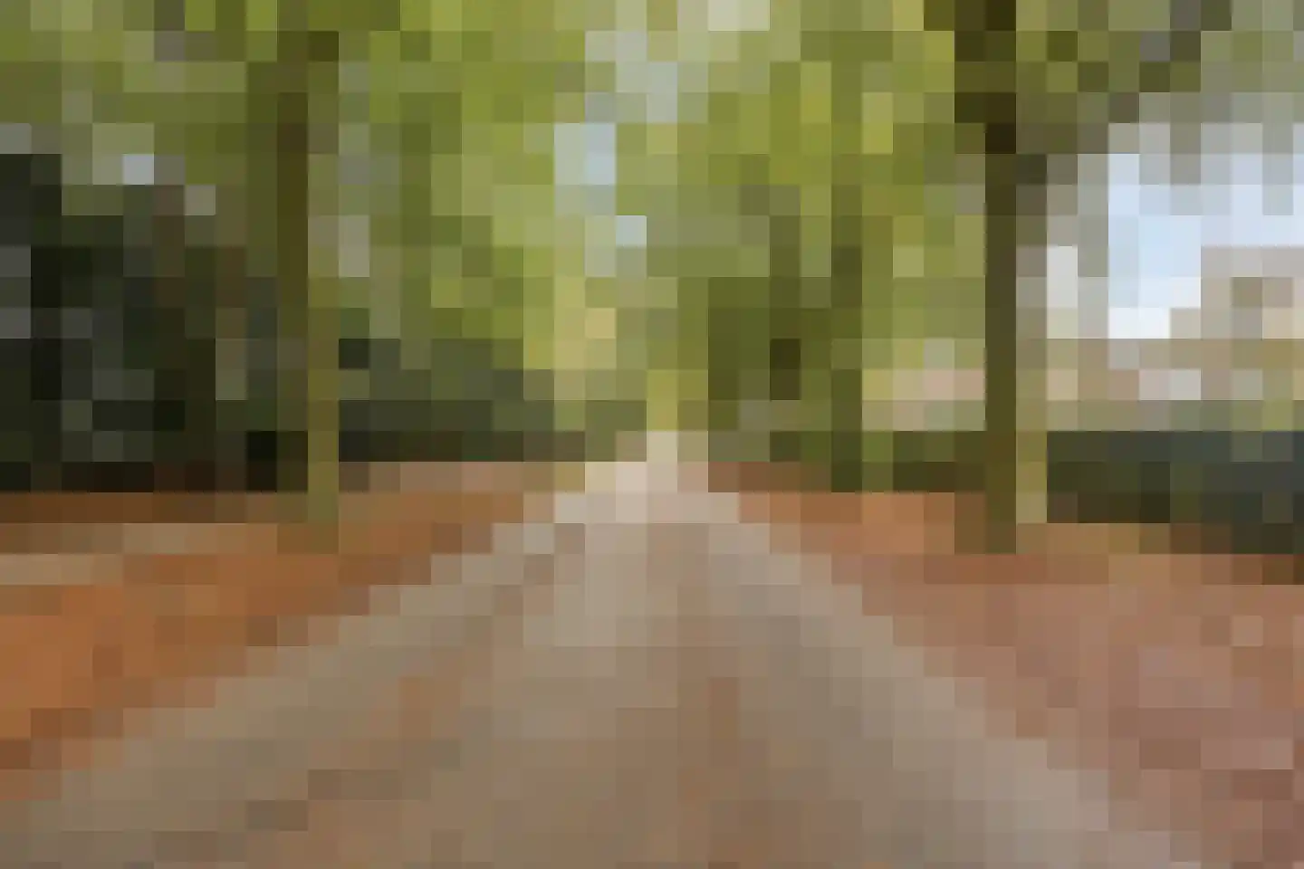 Oude Molenweg 287 Nijmegen thumbnail 26