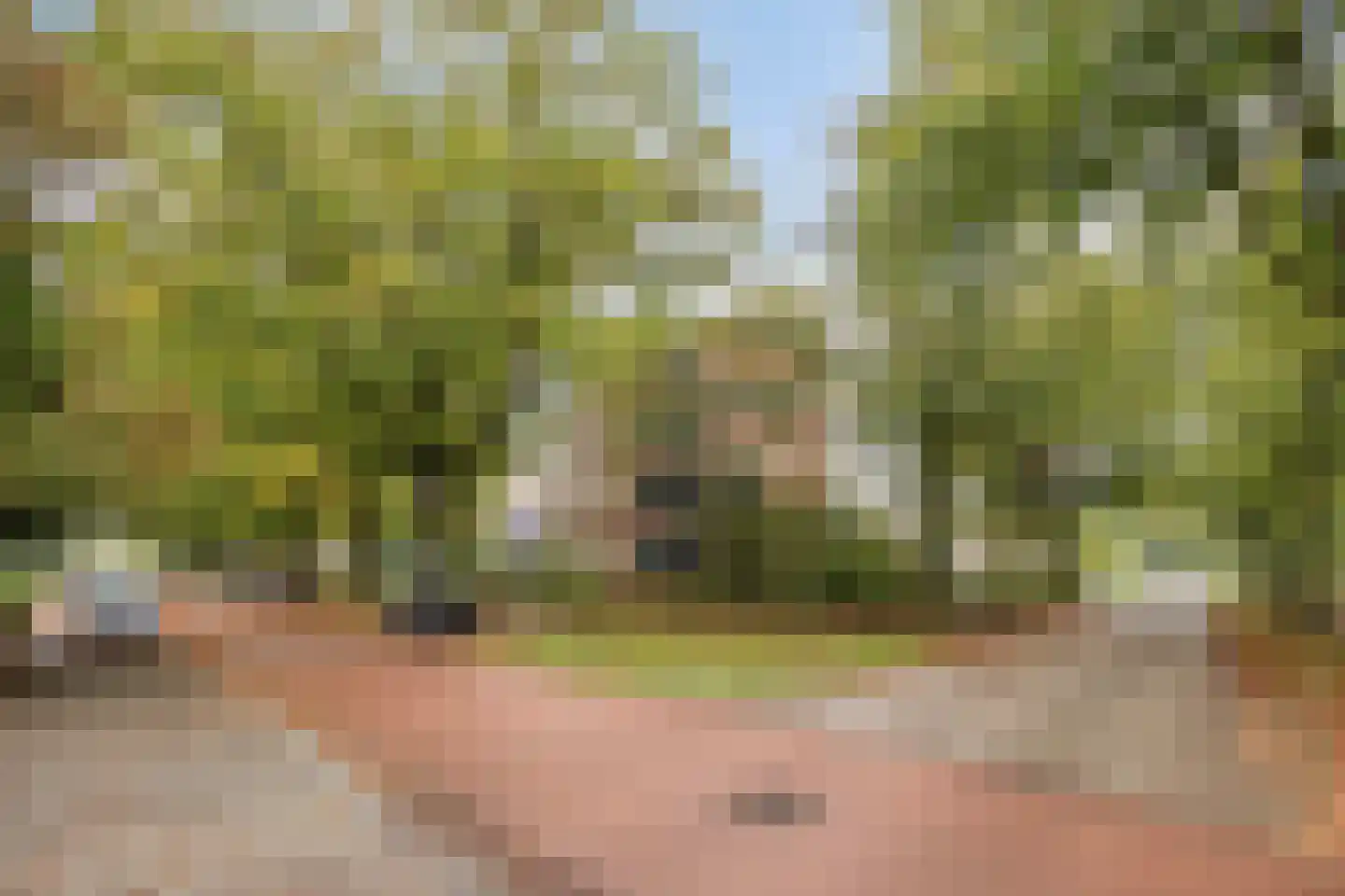 Oude Molenweg 287 Nijmegen thumbnail 27